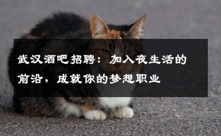 武汉酒吧招聘：加入夜生活的前沿，成就你的梦想职业