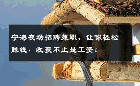 宁海夜场招聘兼职，让你轻松赚钱，收获不止是工资！
