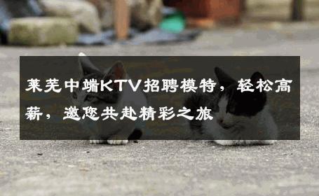 莱芜中端KTV招聘模特，轻松高薪，邀您共赴精彩之旅