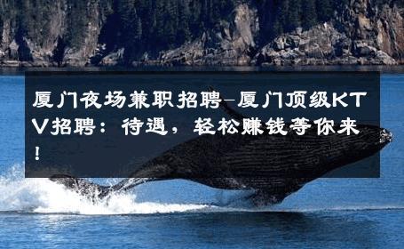厦门夜场兼职招聘-厦门顶级KTV招聘：待遇，轻松赚钱等你来！