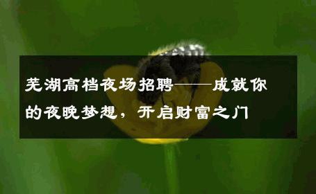 芜湖高档夜场招聘——成就你的夜晚梦想，开启财富之门