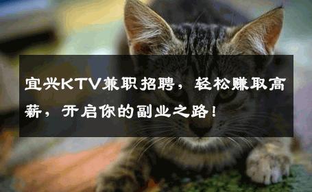 宜兴KTV兼职招聘，轻松赚取高薪，开启你的副业之路！