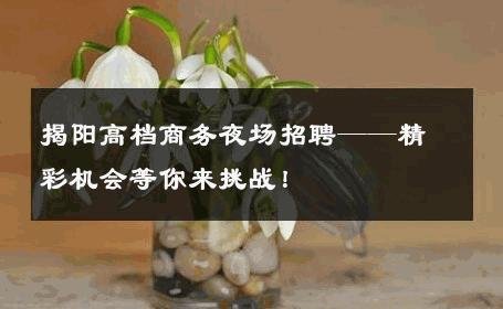 揭阳高档商务夜场招聘——精彩机会等你来挑战！