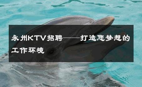 永州KTV招聘——打造您梦想的工作环境