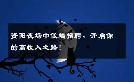 资阳夜场中低端招聘，开启你的高收入之路！