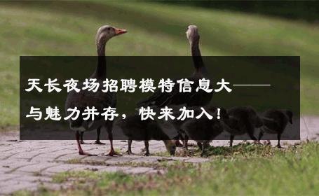 天长夜场招聘模特信息大——与魅力并存，快来加入！