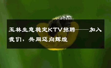 玉林生意稳定KTV招聘——加入我们，共同迈向辉煌