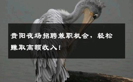 贵阳夜场招聘兼职机会，轻松赚取高额收入！