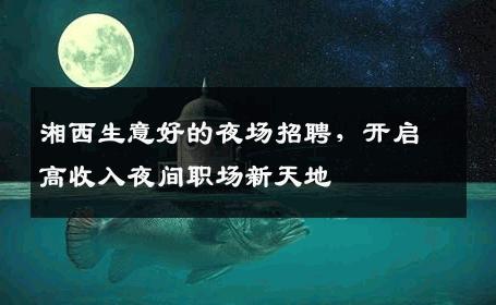 湘西生意好的夜场招聘，开启高收入夜间职场新天地