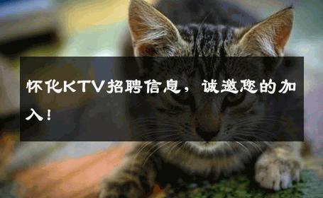怀化KTV招聘信息，诚邀您的加入！