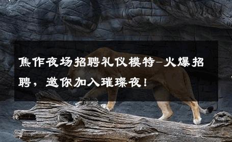 焦作夜场招聘礼仪模特-火爆招聘，邀你加入璀璨夜！