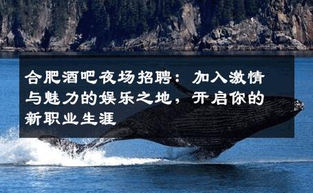 合肥酒吧夜场招聘：加入激情与魅力的娱乐之地，开启你的新职业生涯