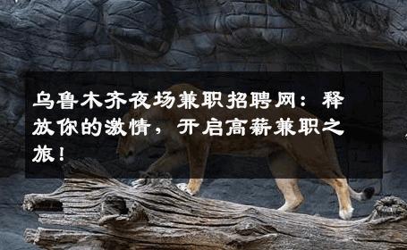 乌鲁木齐夜场兼职招聘网：释放你的激情，开启高薪兼职之旅！