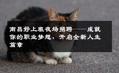 南昌好上班夜场招聘——成就你的职业梦想，开启全新人生篇章