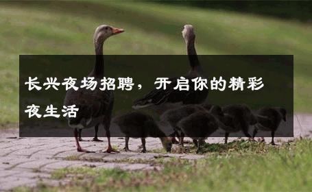 长兴夜场招聘，开启你的精彩夜生活