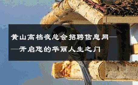 黄山高档夜总会招聘信息网——开启您的华丽人生之门