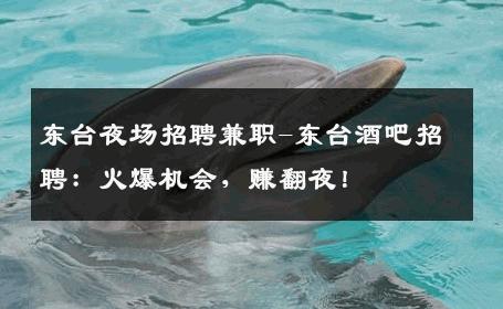 东台夜场招聘兼职-东台酒吧招聘：火爆机会，赚翻夜！