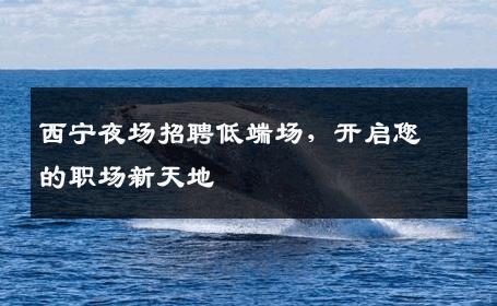 西宁夜场招聘低端场，开启您的职场新天地