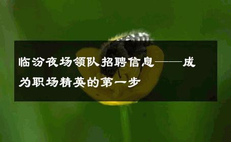 临汾夜场领队招聘信息——成为职场精英的第一步
