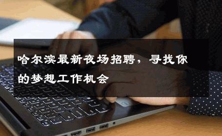 哈尔滨最新夜场招聘，寻找你的梦想工作机会