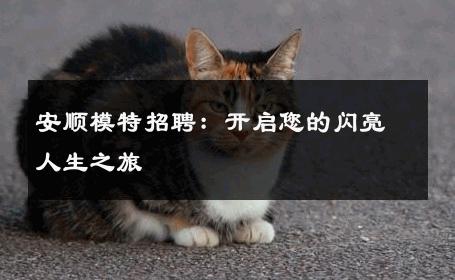 安顺模特招聘：开启您的闪亮人生之旅