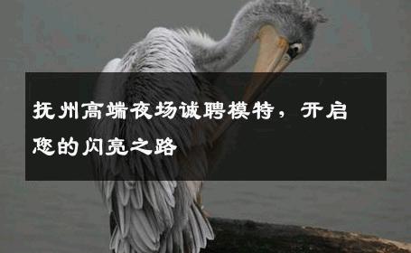 抚州高端夜场诚聘模特，开启您的闪亮之路