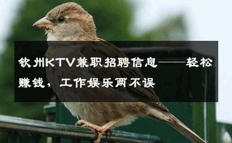 钦州KTV兼职招聘信息——轻松赚钱，工作娱乐两不误