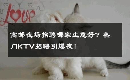 高邮夜场招聘哪家生意好？热门KTV招聘引爆夜！