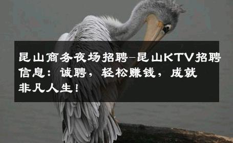 昆山商务夜场招聘-昆山KTV招聘信息：诚聘，轻松赚钱，成就非凡人生！