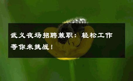 武义夜场招聘兼职：轻松工作等你来挑战！