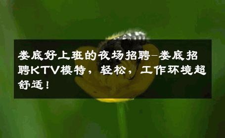 娄底好上班的夜场招聘-娄底招聘KTV模特，轻松，工作环境超舒适！