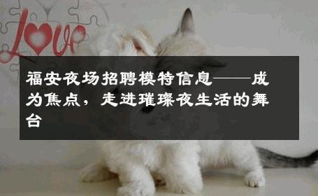 福安夜场招聘模特信息——成为焦点，走进璀璨夜生活的舞台