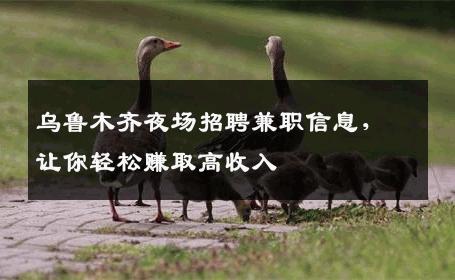 乌鲁木齐夜场招聘兼职信息，让你轻松赚取高收入
