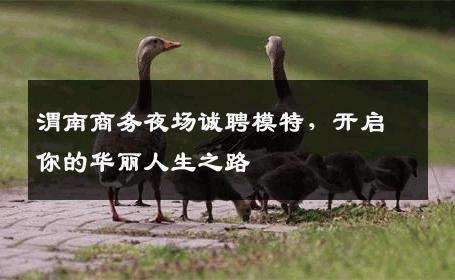 渭南商务夜场诚聘模特，开启你的华丽人生之路