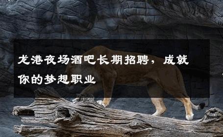 龙港夜场酒吧长期招聘，成就你的梦想职业