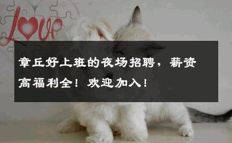章丘好上班的夜场招聘，薪资高福利全！欢迎加入！