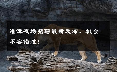 湘潭夜场招聘最新发布，机会不容错过！