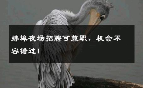 蚌埠夜场招聘可兼职，机会不容错过！