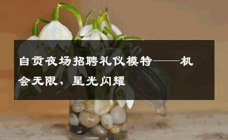 自贡夜场招聘礼仪模特——机会无限，星光闪耀