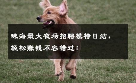 珠海最大夜场招聘模特日结，轻松赚钱不容错过！