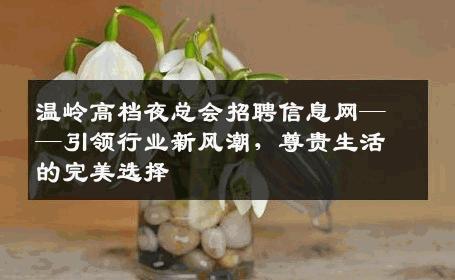 温岭高档夜总会招聘信息网——引领行业新风潮，尊贵生活的完美选择