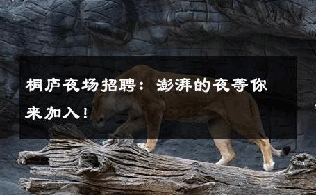 桐庐夜场招聘：澎湃的夜等你来加入！