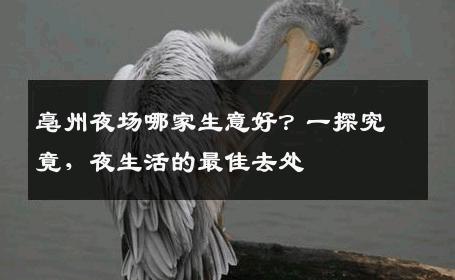 亳州夜场哪家生意好？一探究竟，夜生活的最佳去处