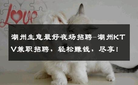 潮州生意最好夜场招聘-潮州KTV兼职招聘，轻松赚钱，尽享！