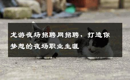 龙游夜场招聘网招聘，打造你梦想的夜场职业生涯