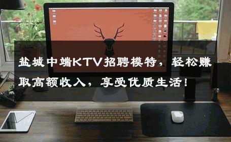 盐城中端KTV招聘模特，轻松赚取高额收入，享受优质生活！