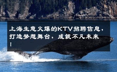 上海生意火爆的KTV招聘信息，打造梦想舞台，成就不凡未来！