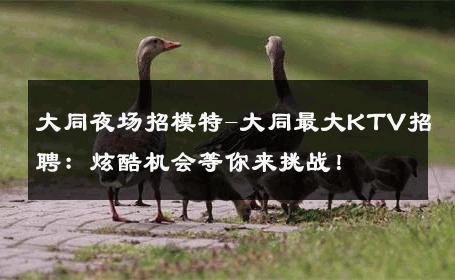 大同夜场招模特-大同最大KTV招聘：炫酷机会等你来挑战！