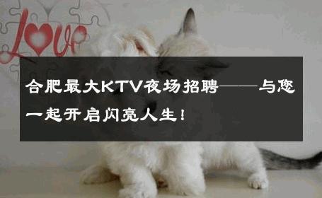 合肥最大KTV夜场招聘——与您一起开启闪亮人生！