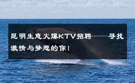 昆明生意火爆KTV招聘——寻找激情与梦想的你！